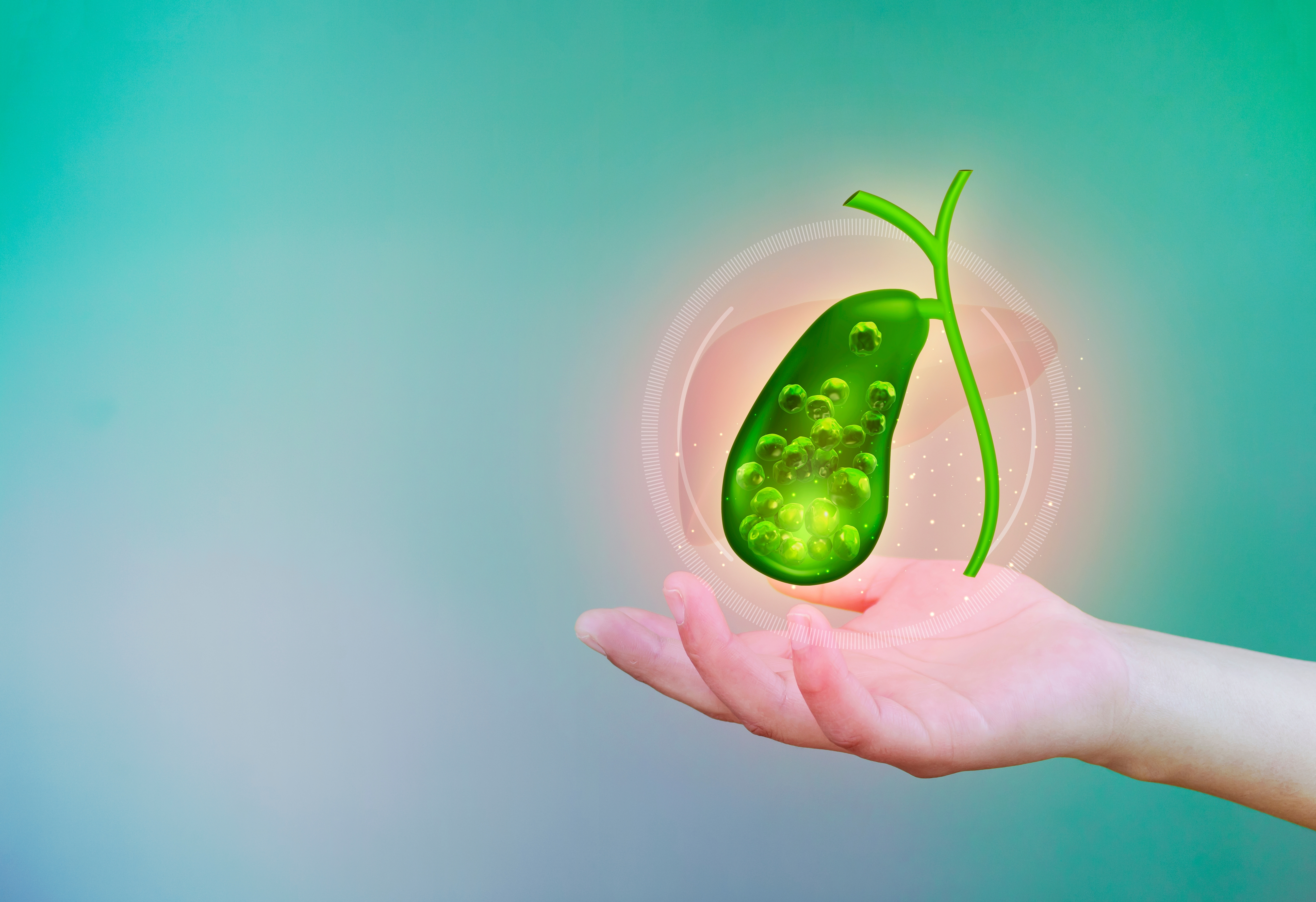 Gallbladder concept  