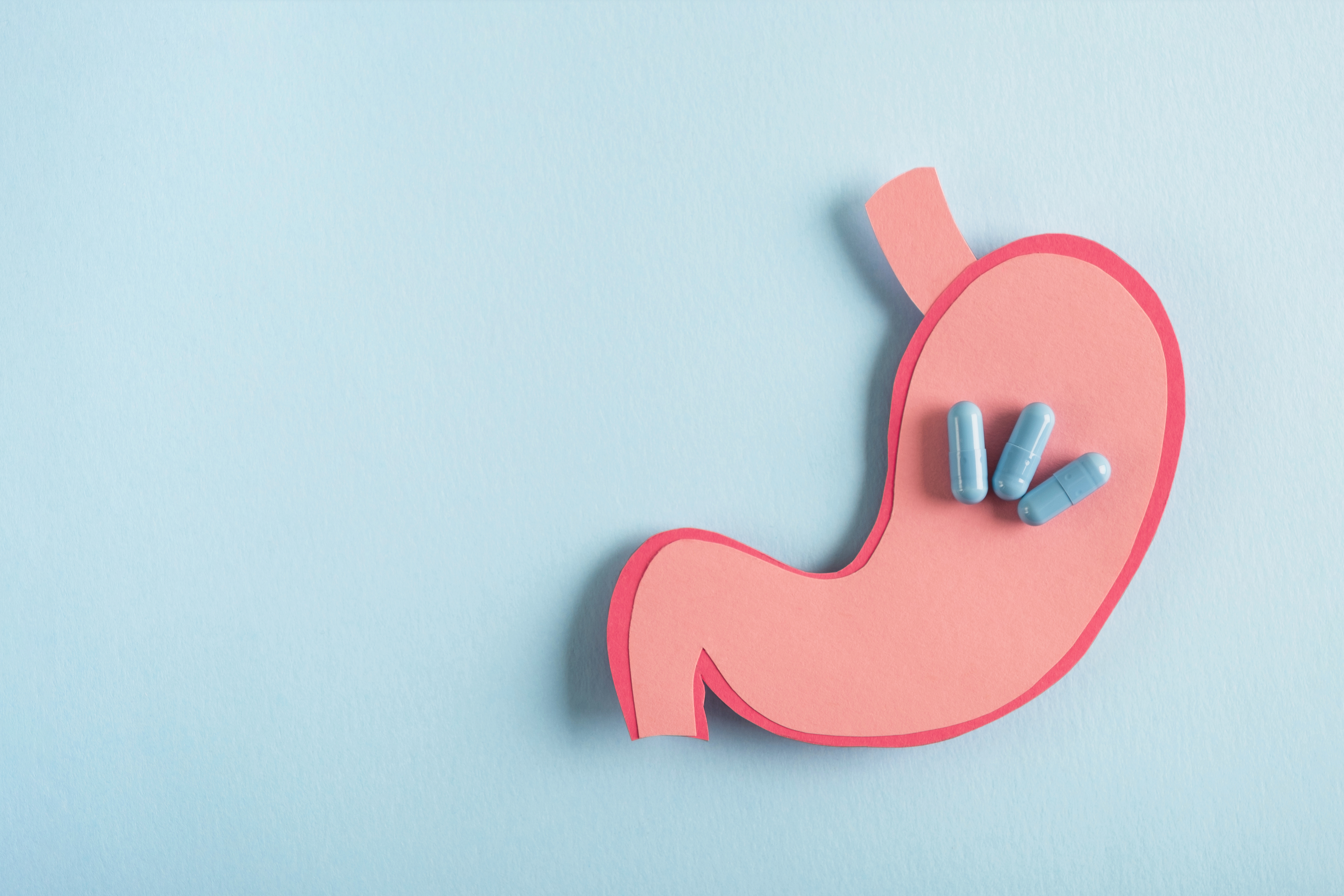 Supplements in a stomach 