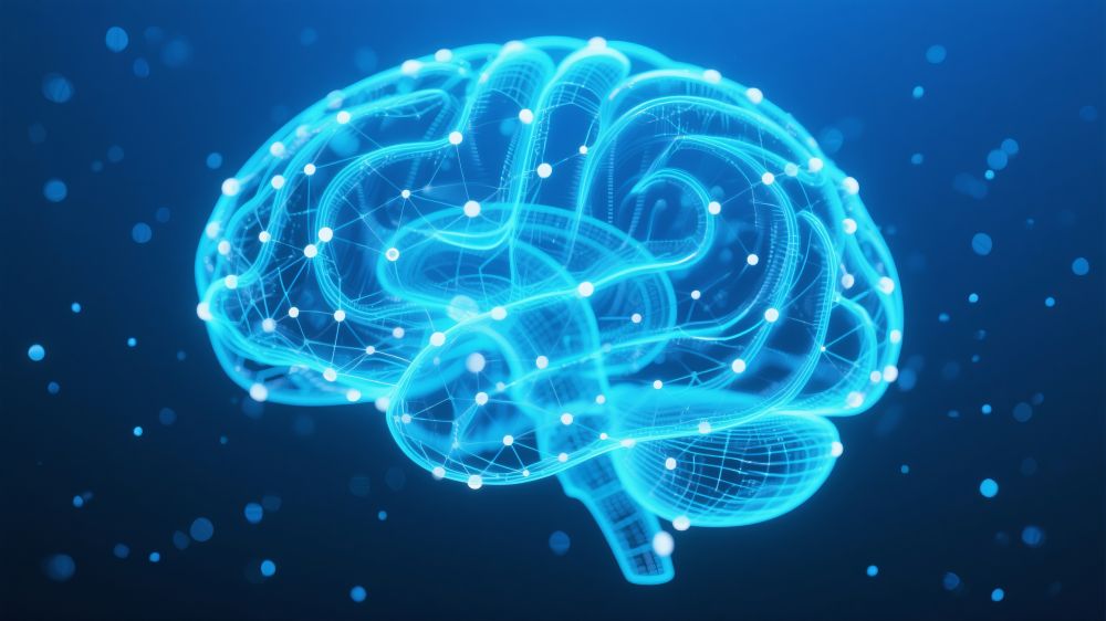 Brain illustration