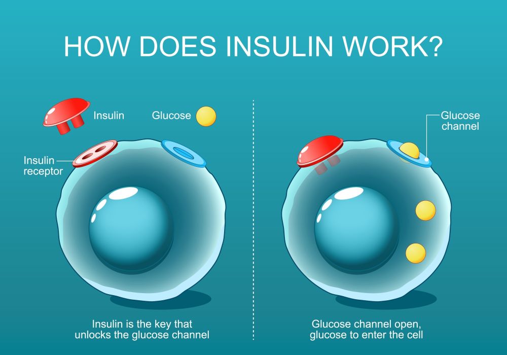 Insulin concept 