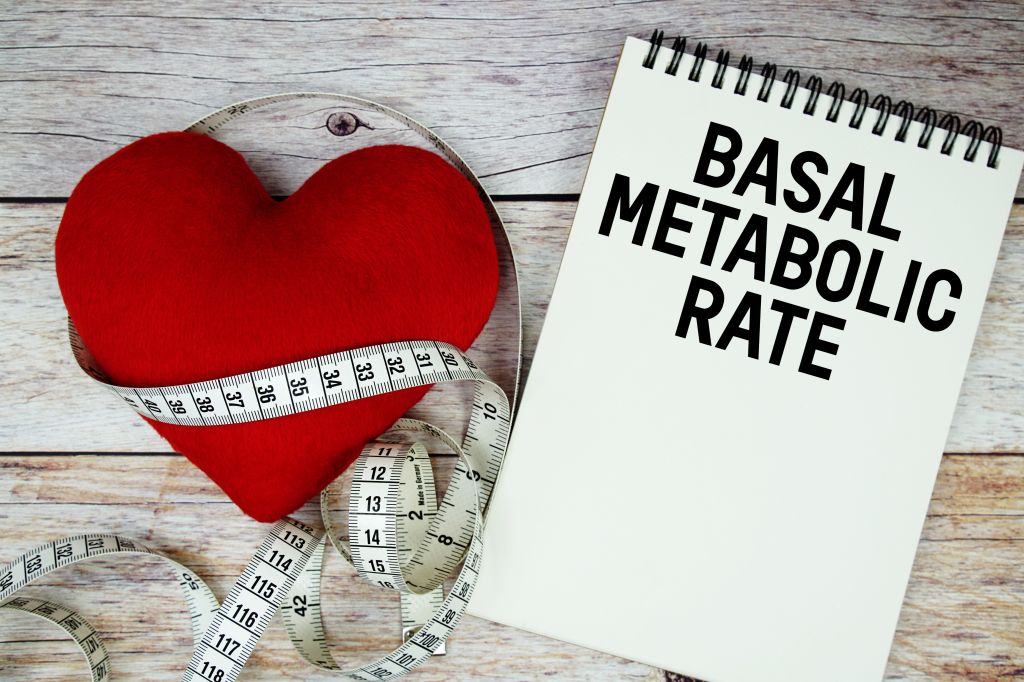 Basal metabolic rate concept