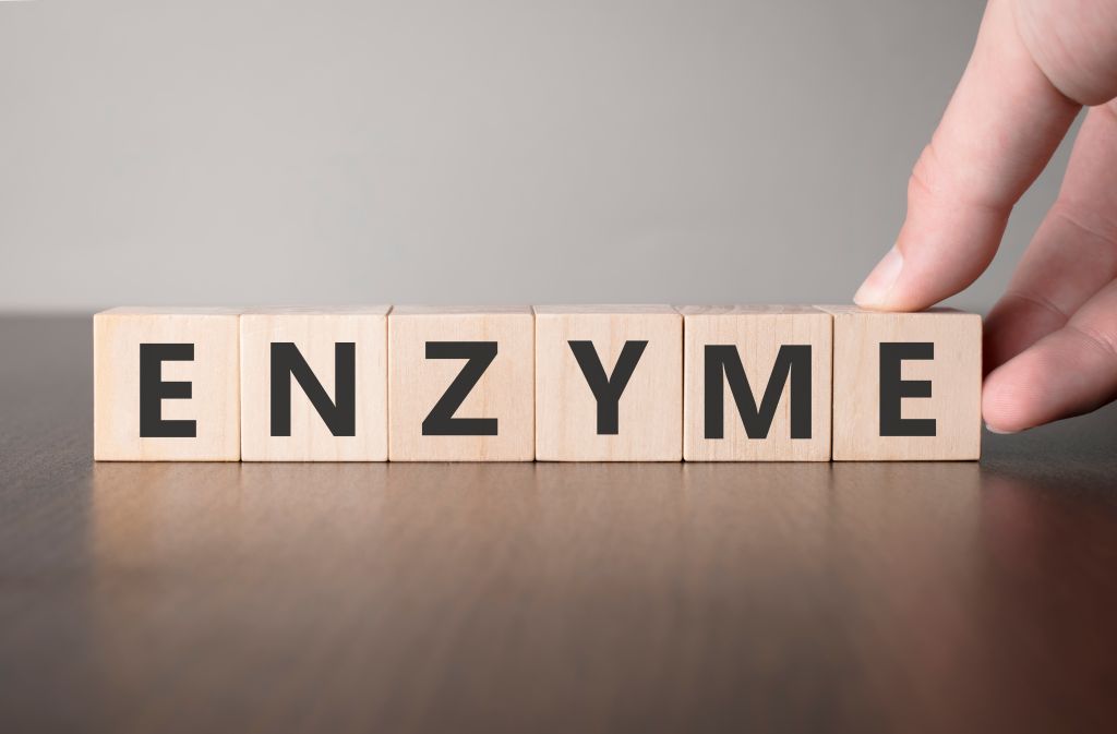 Enzyme in wooden blocks